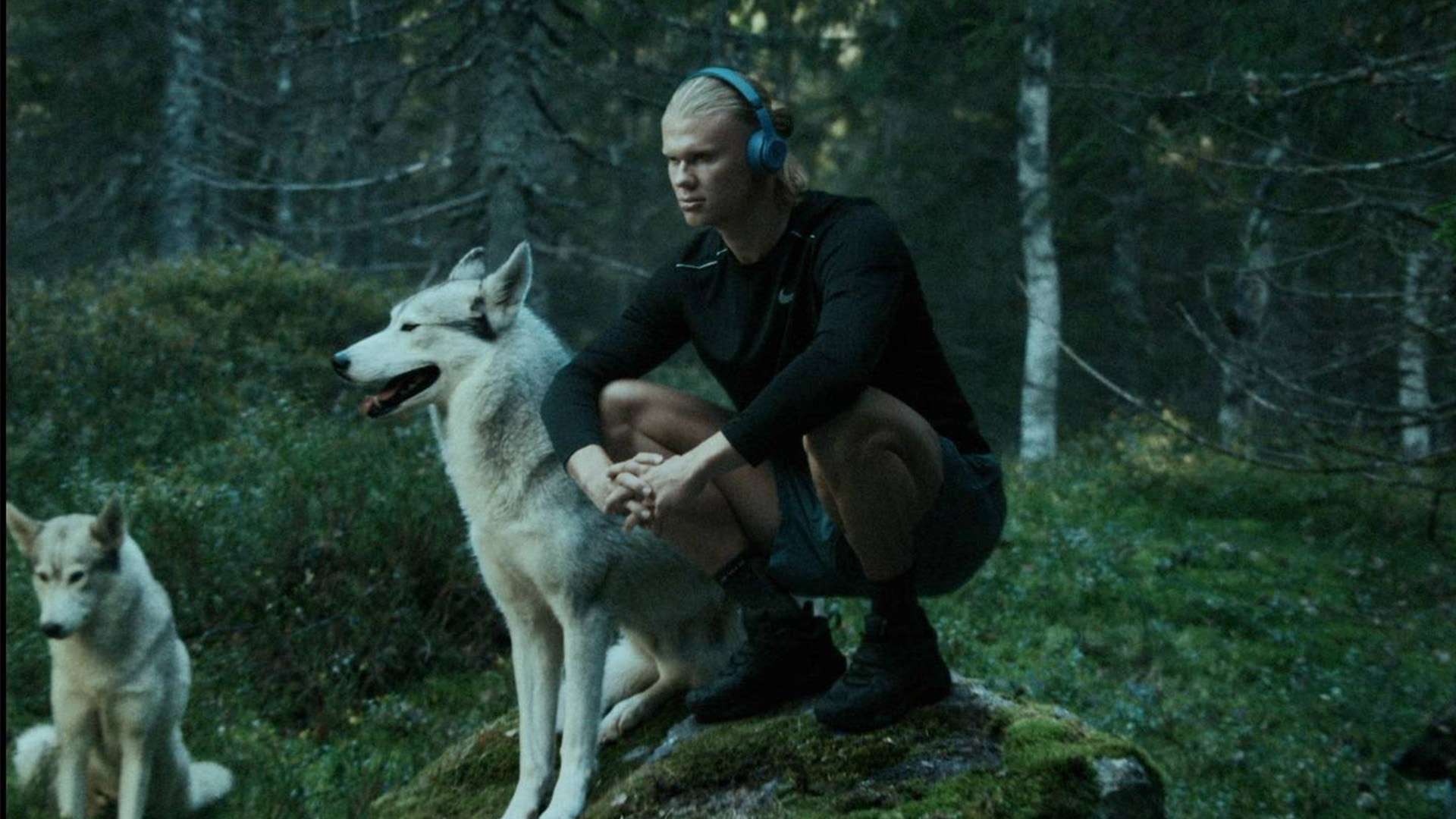 让我们一起 让我们一起