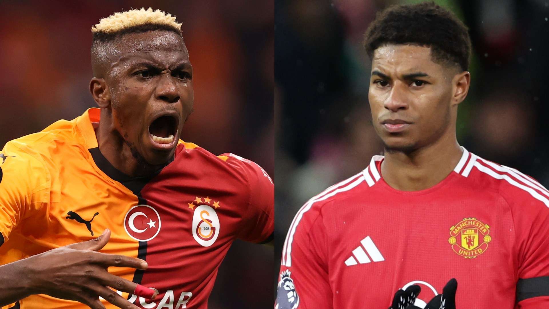 动证明了自 动证明了自